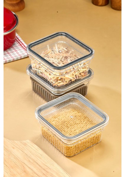 3 Parça Saklama Kabı Seti 0,85 ml fiyatları