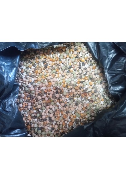 Bırdın Özel Ultra Lüx Guvercin Yemi (20KG) fiyatları