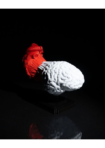 Kalp ve Beyin Biblo 3D Baskı fiyatları