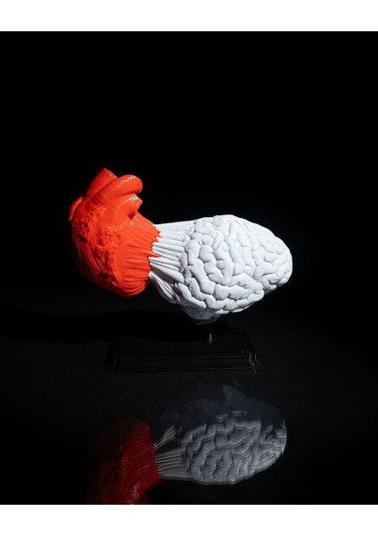 Kalp ve Beyin Biblo 3D Baskı fırsatları