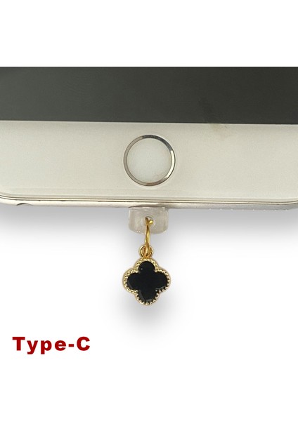 Type-C Çelik Takı Figürlü Telefon Şarj Portu Toz Tıpası Toz Tıkacı Charm TCGL5017