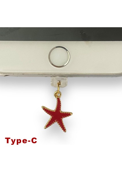 Type-C Çelik Takı Figürlü Telefon Şarj Portu Toz Tıpası Toz Tıkacı Charm TCGL5002