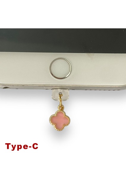 Type-C Çelik Takı Figürlü Telefon Şarj Portu Toz Tıpası Toz Tıkacı Charm TCGL5022