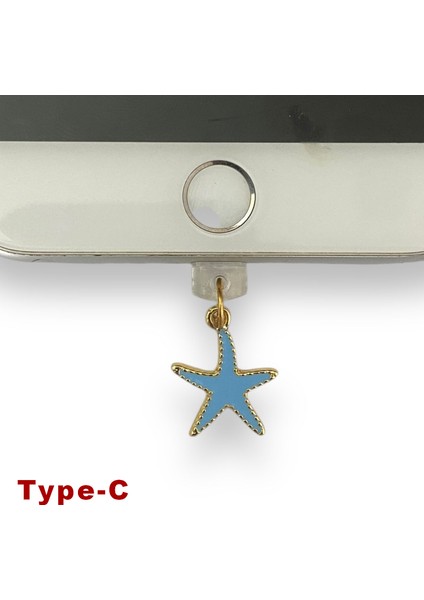 Type-C Çelik Takı Figürlü Telefon Şarj Portu Toz Tıpası Toz Tıkacı Charm TCGL5003