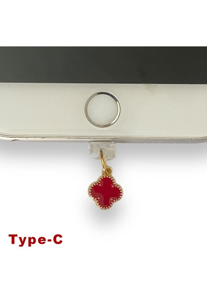 Type-C Çelik Takı Figürlü Telefon Şarj Portu Toz Tıpası Toz Tıkacı Charm TCGL5018