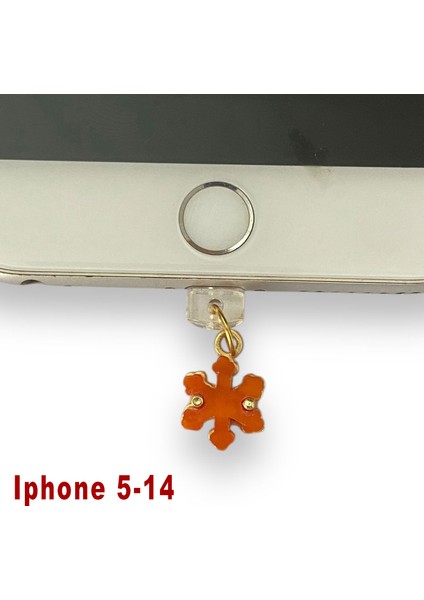 Iphone 5-14 Çelik Takı Figürlü Telefon Şarj Portu Toz Tıpası Toz Tıkacı Charm IPGL6012