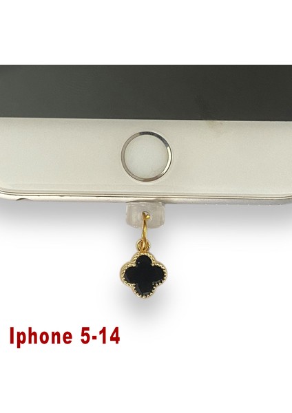Iphone 5-14 Çelik Takı Figürlü Telefon Şarj Portu Toz Tıpası Toz Tıkacı Charm IPGL6017