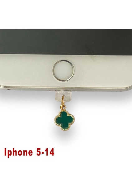 Iphone 5-14 Çelik Takı Figürlü Telefon Şarj Portu Toz Tıpası Toz Tıkacı Charm IPGL6021