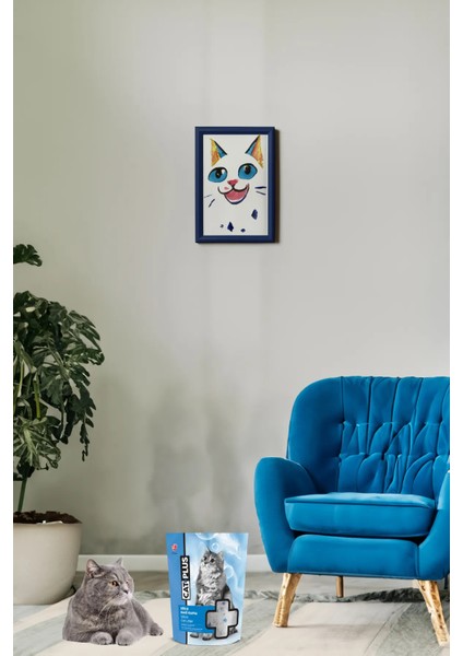 Kristal Kedi Kumu 3,6 Lt X2 Adet fırsatları