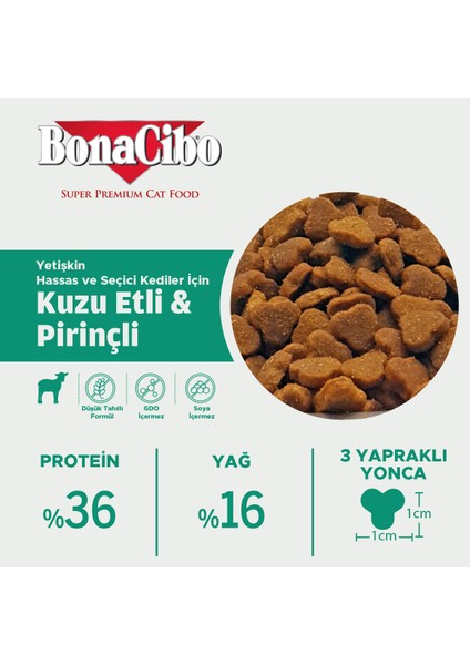 Adult Cat Kuzu ve Pirinçli Kedi Maması, 5 Kg, Tüm Irklar Için, Doğal, Şeker Içermez fırsatları