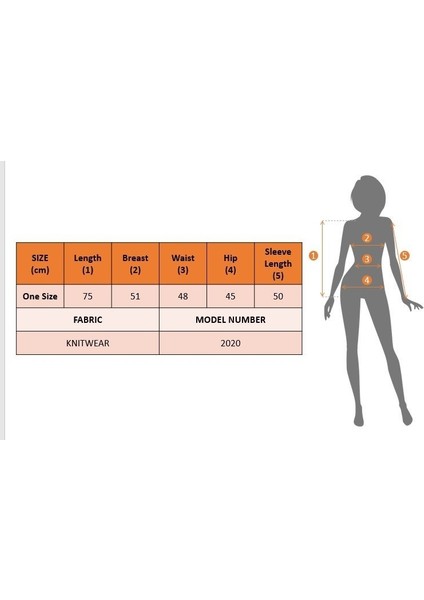 Kadın Uzun Kollu V Yaka Triko Bluz indirimleri