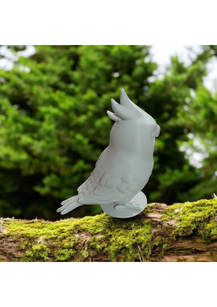 3D Boyama Figürü Papağan fırsatları