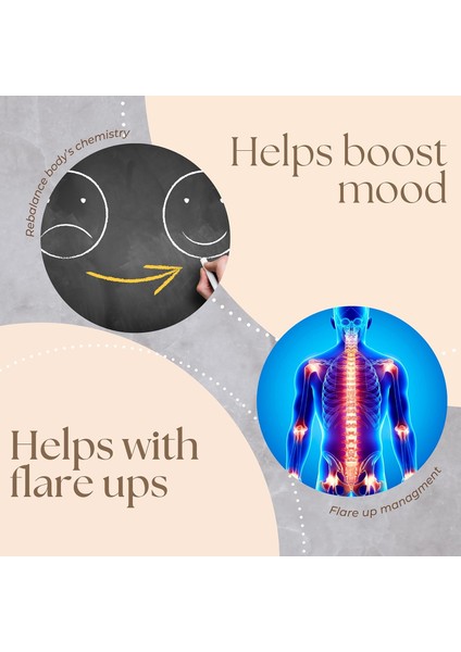 Nad+ Nicotinamide Riboside Quercetin Resveratrol Betaine True Nad Anti Aging fiyatları