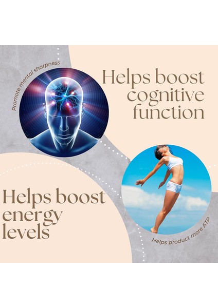 Nad+ Nicotinamide Riboside Quercetin Resveratrol Betaine True Nad Anti Aging modelleri
