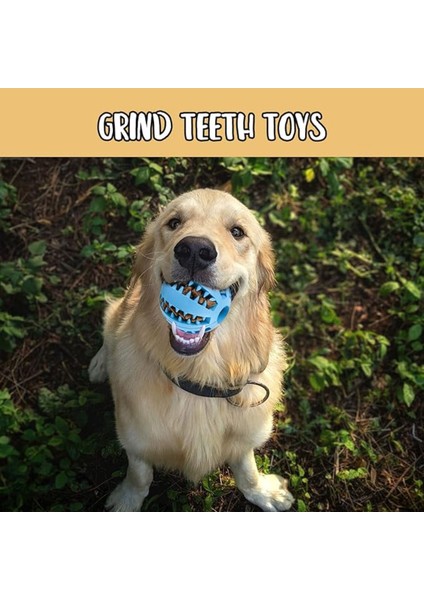 Mama Hazneli Köpek Eğitim ve Oyun Topu fiyatları