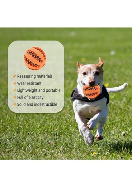 Mama Hazneli Köpek Eğitim ve Oyun Topu modelleri