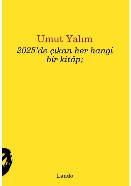 2025’DE Çıkan Her Hangi Bir Kitap