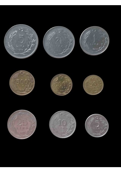 Koleksiyon Madeni Para. Koleksiyon Başlangıç Setleri. Hobi Hediye Antika Darpane