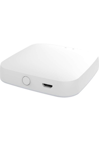Tuya Bluetooth Ağ Geçidi Hub Akıllı Ev Köprüsü Tuya Bluetooth Cihazı Akıllı Yaşam Uygulaması Uzaktan Kumanda ile Çalışır (Yurt Dışından)