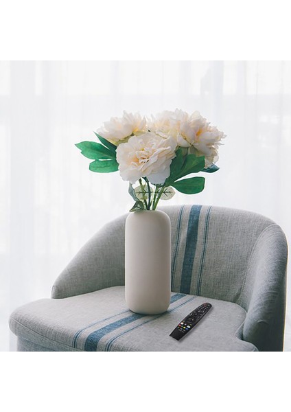 Uzaktan Kumanda Aeu Magic AN-MR18BA/19BA AKB753 75501MR-600 Lg Smart Tv Için Yedek (Kızılötesi) (Yurt Dışından) modelleri