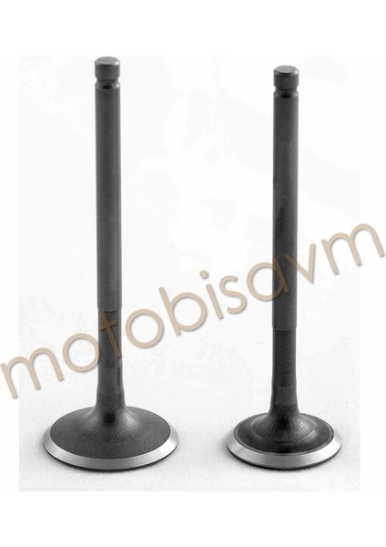 Fızy Vtc Subap Takımı