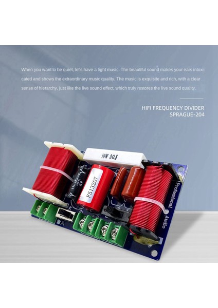 250W Yüksek ve Düşük 2 Yollu Ses Bölücü 3000HZ Ayarlanabilir Yüksek ve Düşük Bas Bölücü Hifi Yüksek Sadakat Bölücü Filtre (Yurt Dışından) fiyatları
