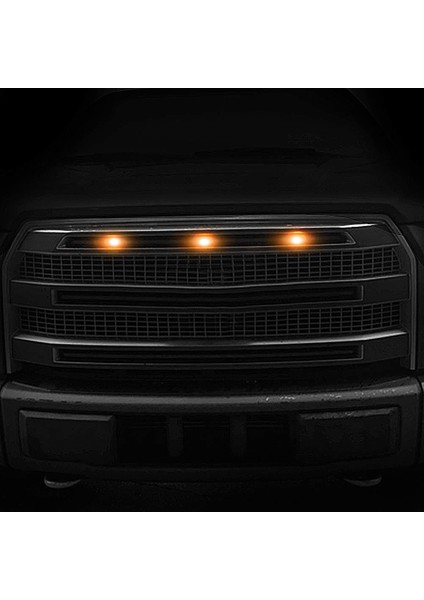 Adet Harici Amber LED Işıklar Dekorasyon, LED Ön Izgara Işıkları 2004-2019 Ford F150 Raptor F250 Izgara Koşu Lambaları (Yurt Dışından) indirimleri