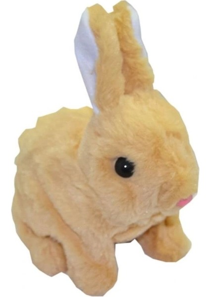 Nessiworld 40098 Tavşan Peluş Pilli-Aya Toys fırsatları