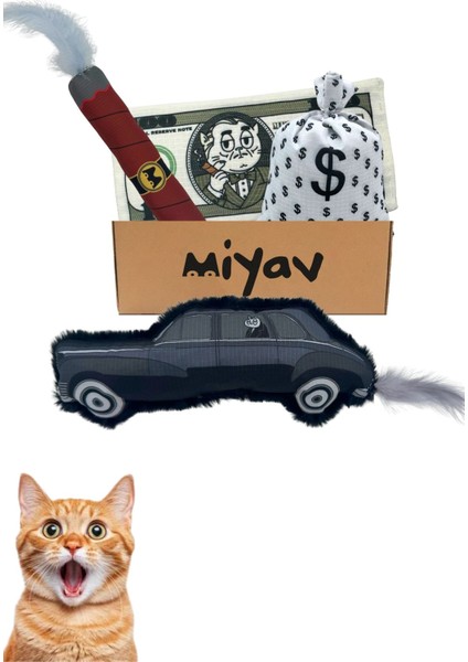 Mafyatik Miyavlar 4’lü Sesli Peluş Kedi Oyuncak Seti – Araba, Puro, Dolar, Para Çuvalı