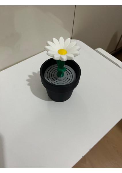 Dekorasyon Ürünü Papatya fırsatları