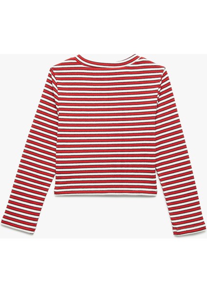 Uzun Kollu Bisiklet Yaka Ribanalı Çizgili Tişört fiyatları