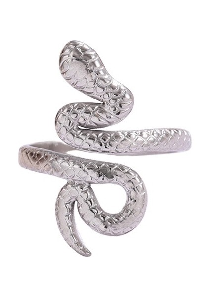 Yılan Şeklindeki Titanyum Çelik Yüzük Abartılı Soğuk Niş Tasarımı Yüksek Kaliteli Açık Paslanmaz Çelik Yüzük (Yurt Dışından)