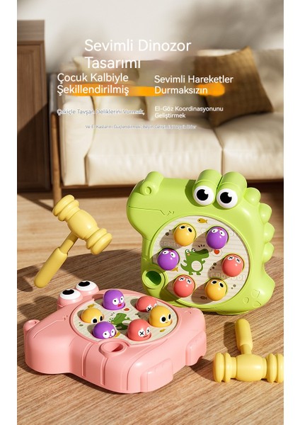 Timsah Gopher Erkek ve Kız Erken Öğretir (Yurt Dışından) fırsatları