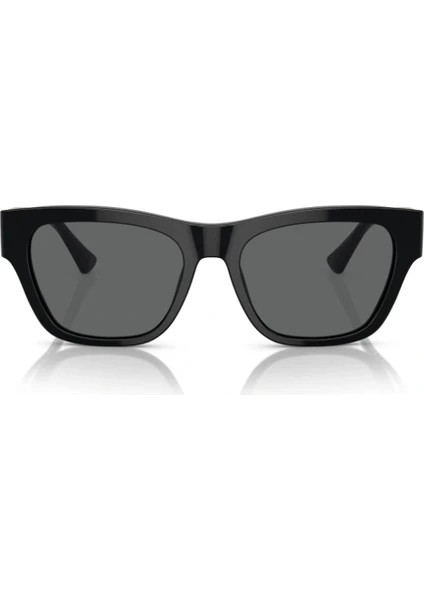 4457 GB1/87 55 Erkek Güneş Gözlüğü modelleri