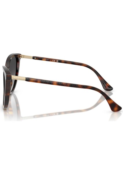 5593SI W6568G 57 Kadın Güneş Gözlüğü modelleri