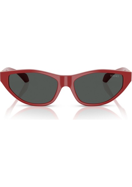 4491U 538887 55-16-140 Kadın Güneş Gözlüğü fiyatları