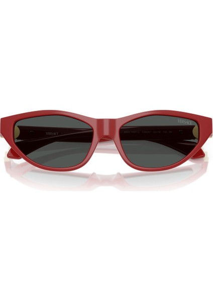 4491U 538887 55-16-140 Kadın Güneş Gözlüğü fırsatları