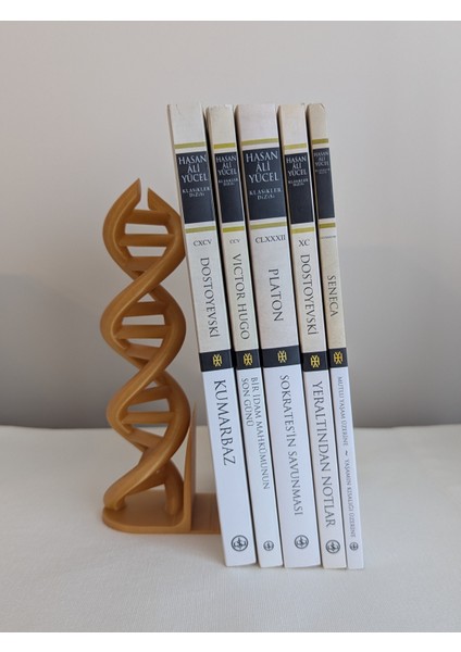 Dna Helix Tasarımlı Kitap Tutucu