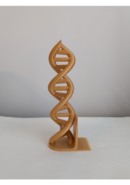 Dna Helix Tasarımlı Kitap Tutucu fiyatları