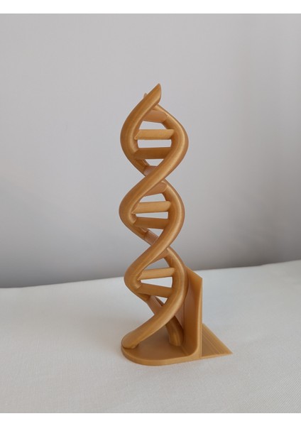 Dna Helix Tasarımlı Kitap Tutucu modelleri