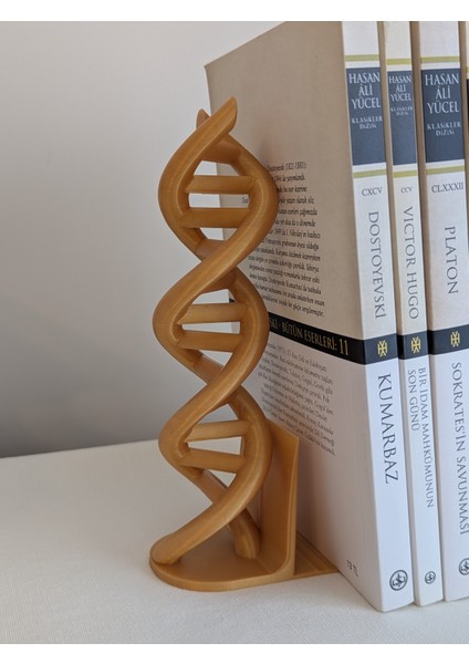 Dna Helix Tasarımlı Kitap Tutucu fırsatları