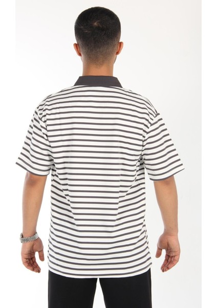 4062 Çizgili Polo Yaka Tshirt modelleri