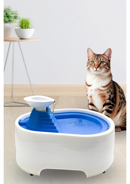 Kedi Su Pınarı Su Sebili 2 Litre Filtreli Sessiz Mavi