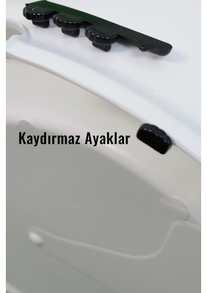 Kedi Su Pınarı Su Sebili 2 Litre Filtreli Sessiz Mavi indirimleri