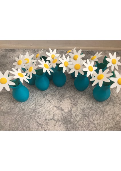 Saksıda Papatyalar fırsatları
