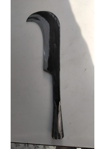 Büyük Boy Tahra 43 cm