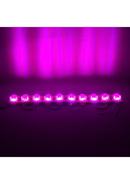 Pembe 24 Volt 1.4 Watt 2835 Modül LED 48*30 fiyatları