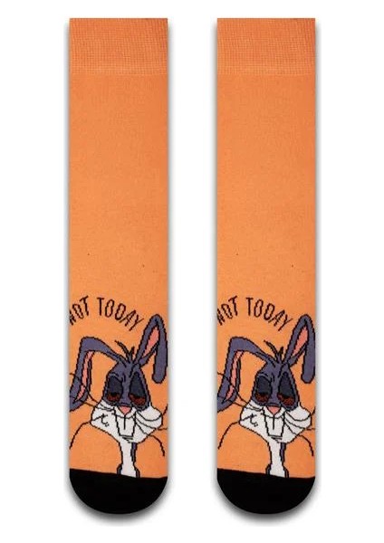 Baygın Tavşan Renkli Unisex Çorap