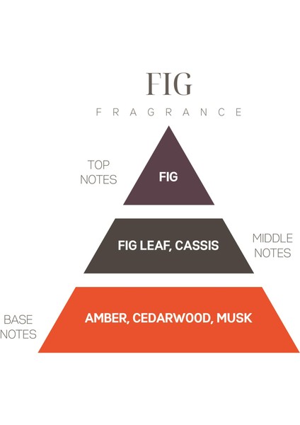 Koku Günlüğü: Fig (Incir) fırsatları