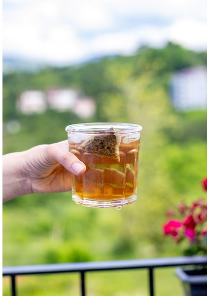 Soğuk Demleme Detox Soğuk Çay Seti ( Mangolu Soğuk Çay ve Çilekli Soğuk Çay Set) modelleri
